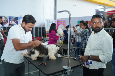 PETEX INDIA 7th Edition