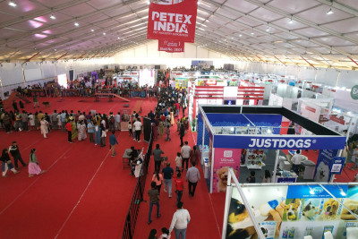 PETEX INDIA 6th Edition
