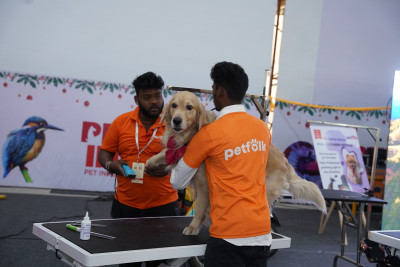 PETEX INDIA 6th Edition