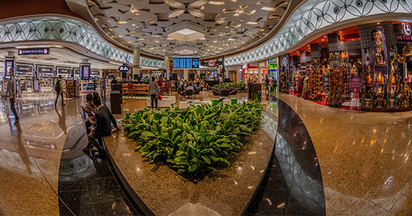 Mumbai Airport’s 'Pawfect' Therapy Dogs Return to Ease Travelers’ Stress 