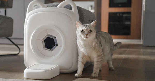 PawSwing Unveils Self-Grooming Machine for Cats