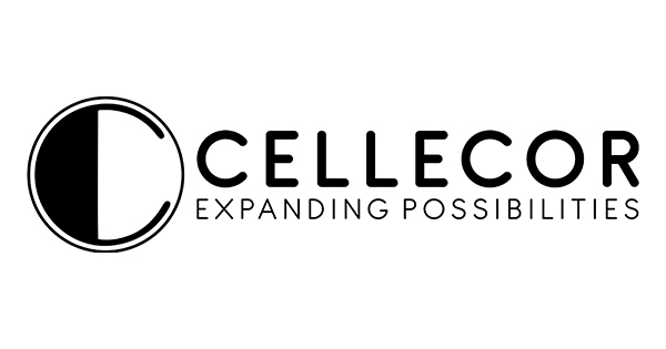 Cellecor Gadgets Signs Deal to Build Smart Electronics Hub in India