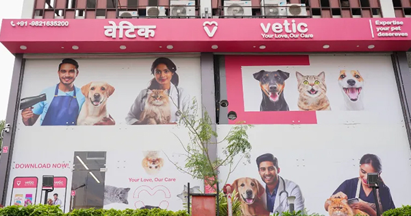 Petcare Startup Vetic Raises US$ 26 Million in Series C Round 